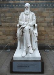 Памятник Ч. Дарвину